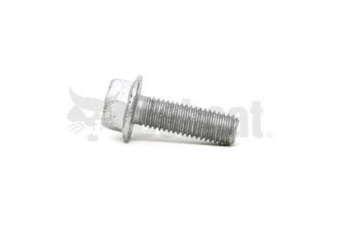 BOLT P/N 31C1032