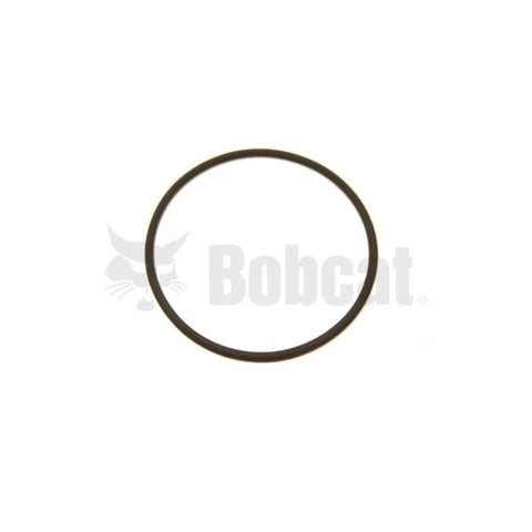 O-RING P/N 54K30210